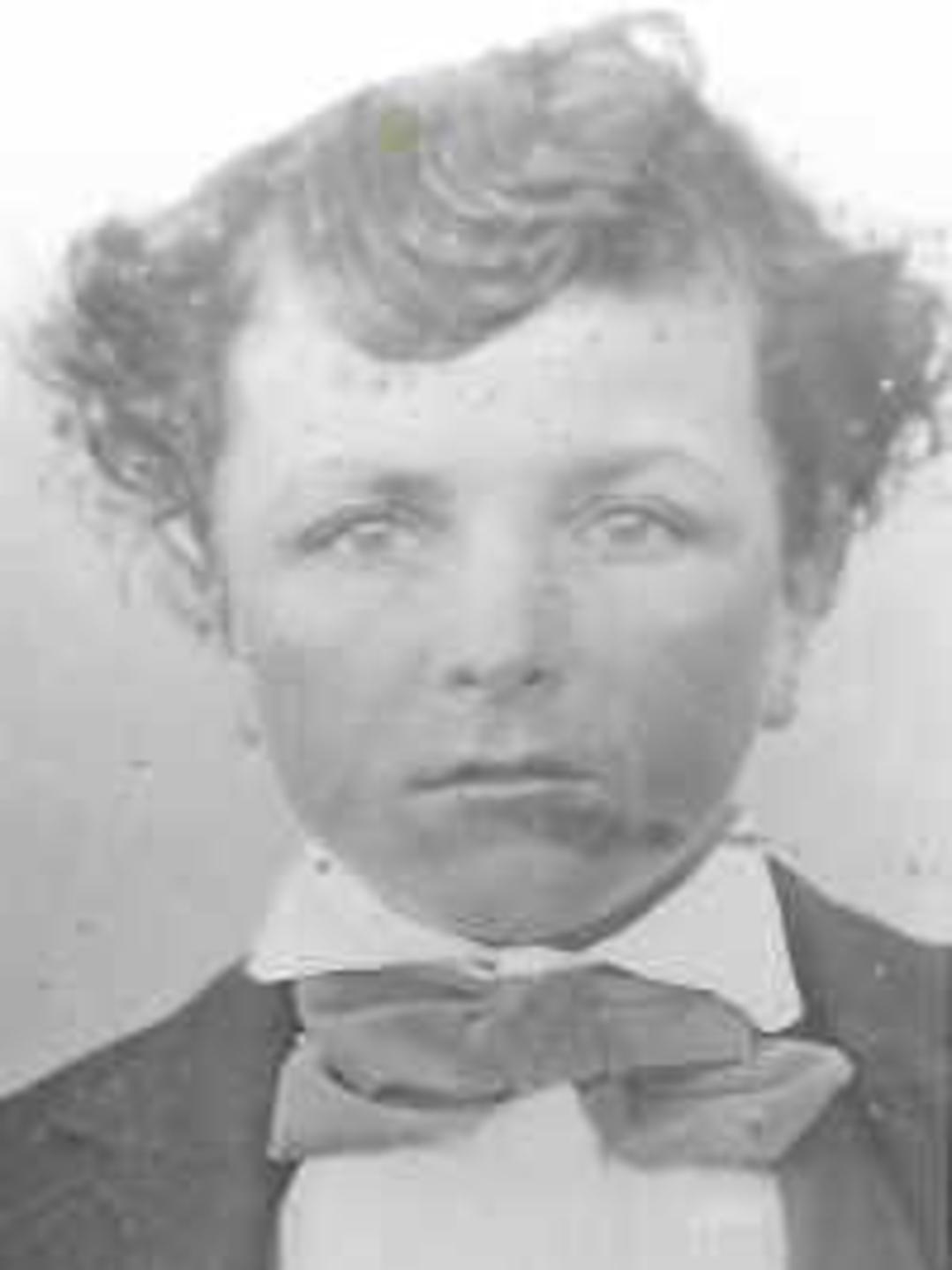 Andrew Patterson Burt (1850 - 1918) Profile